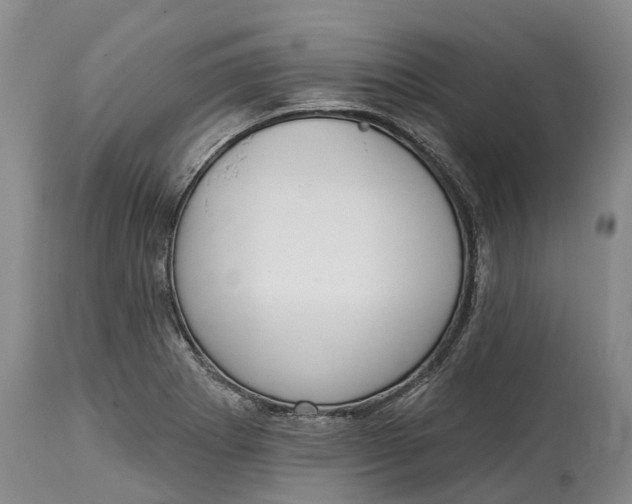 X0000115011273200911161552