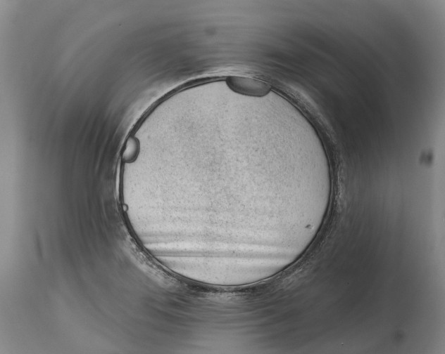 X0000115011276200911161551