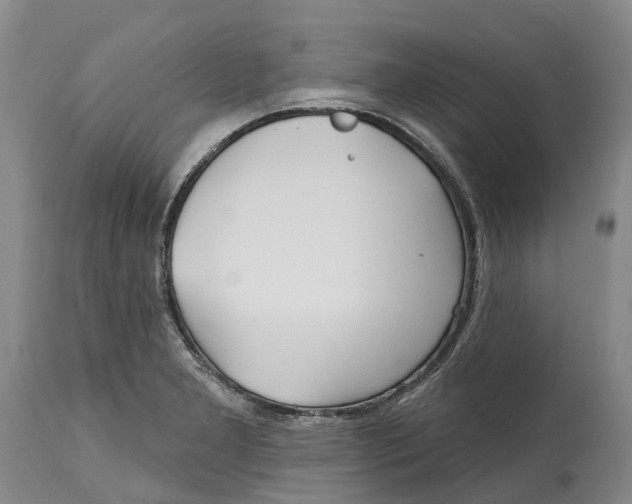 X0000115011277200911161551