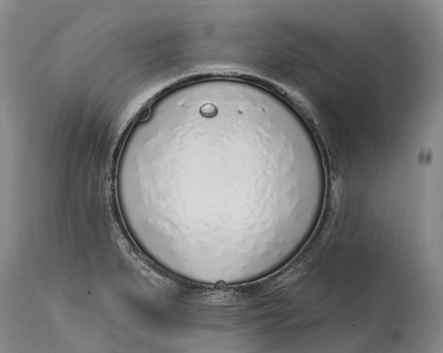 X0000115011279200911161551