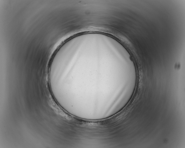 X0000115011280200911161551