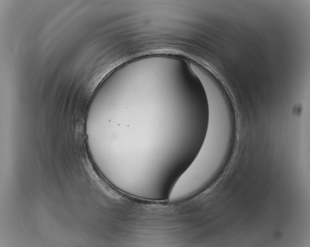 X0000115011281200911161551