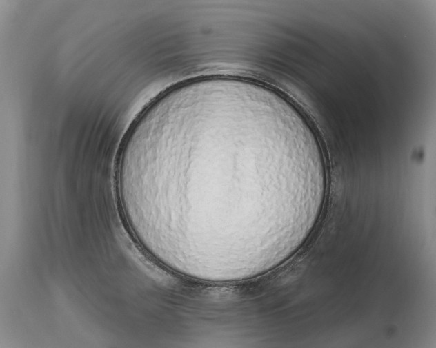 X0000115011283200911161551