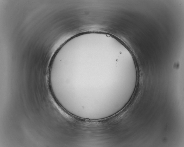 X0000115011285200911161551