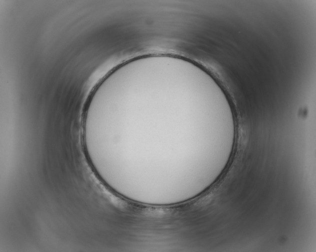 X0000115011286200911161551