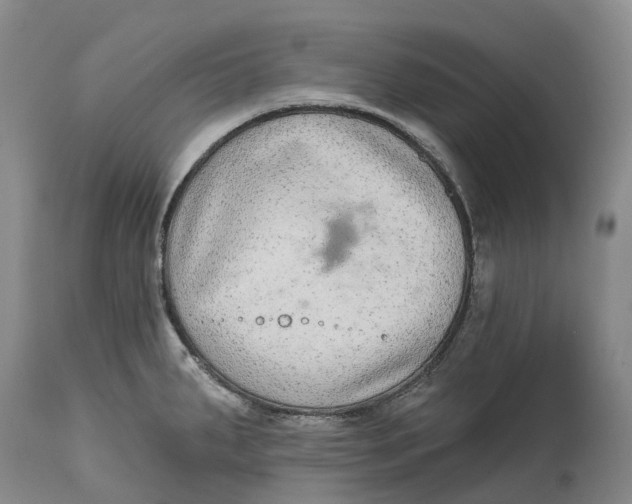 X0000115011287200911161551