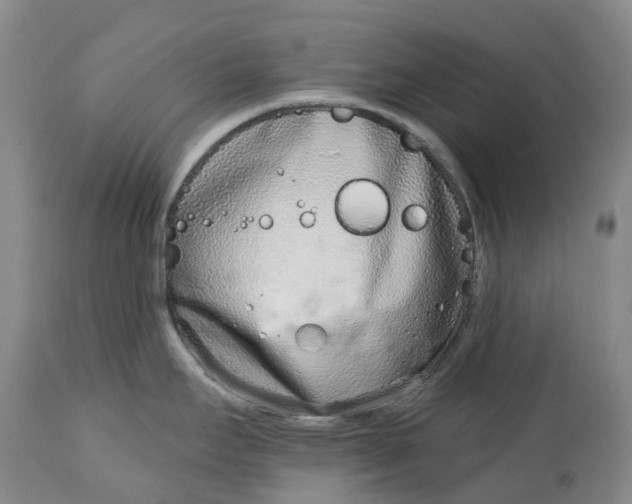 X0000115011295200911161551