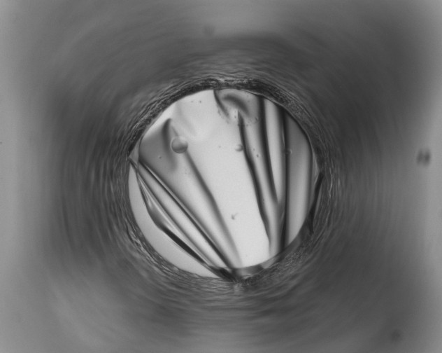X0000115011298200911161550