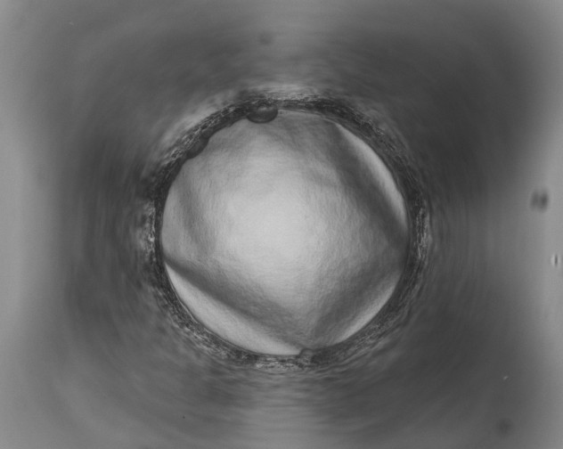 X0000115011301200911161550
