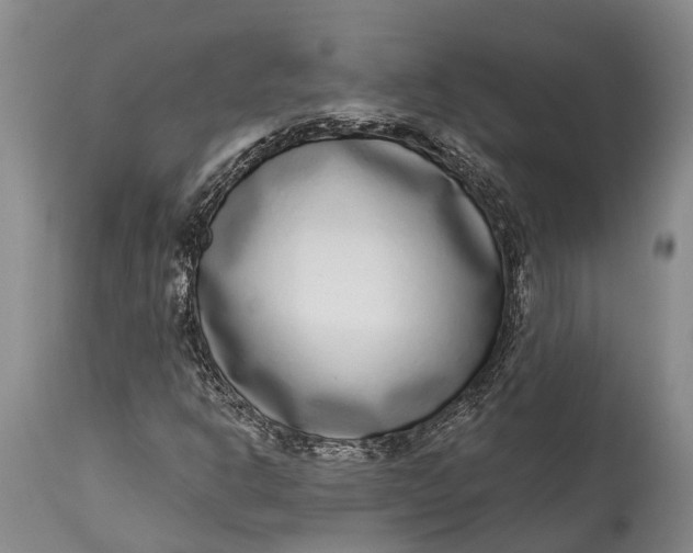 X0000115011302200911161551
