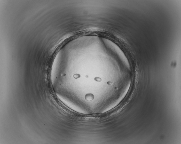 X0000115011305200911161551