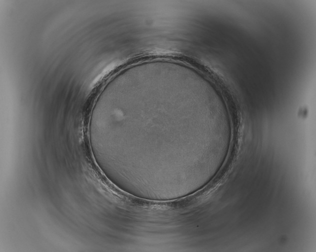 X0000115011306200911161551