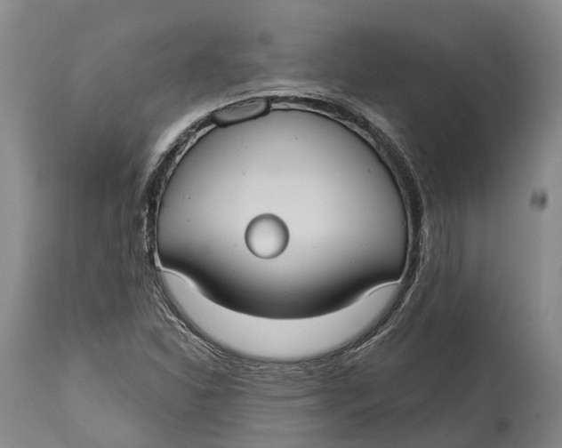 X0000115011310200911161551