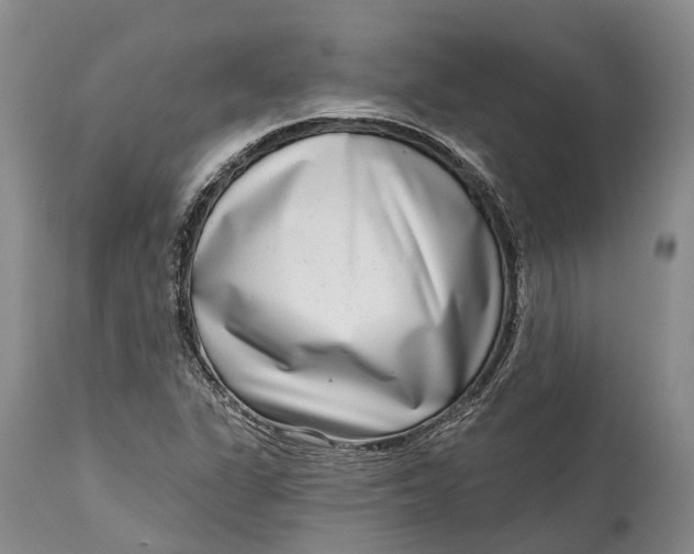 X0000115011311200911161551