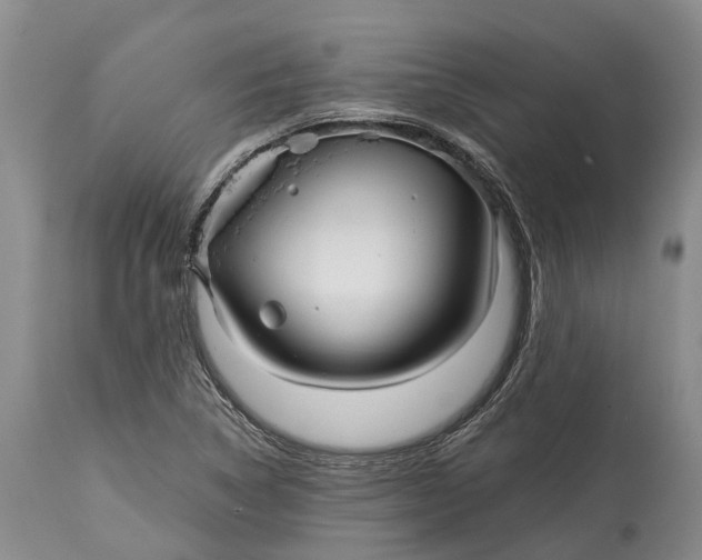 X0000115011314200911161551