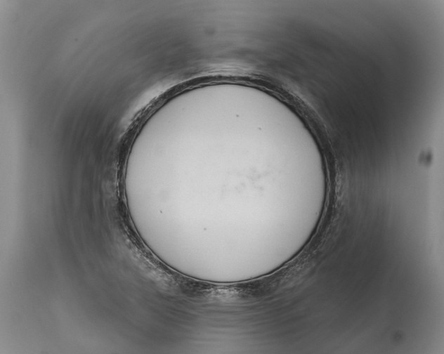 X0000115011315200911161551