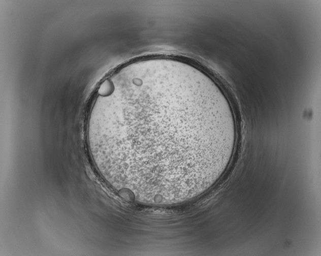 X0000115011318200911161551