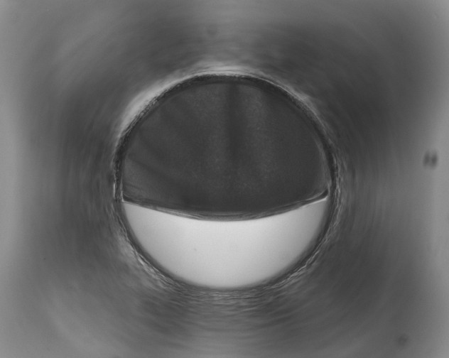 X0000115011319200911161551