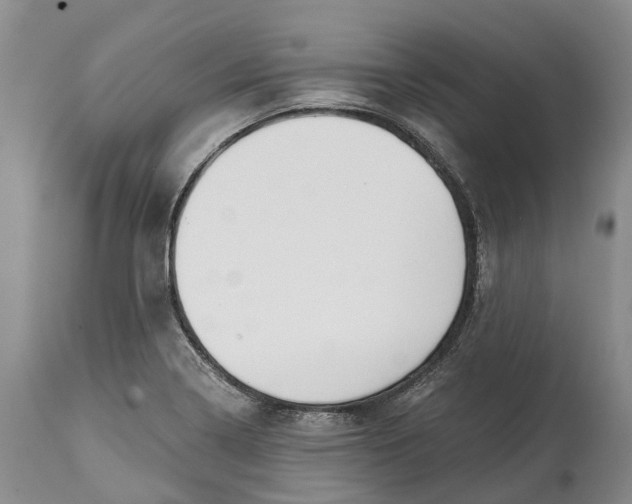 X0000115011322200911161551