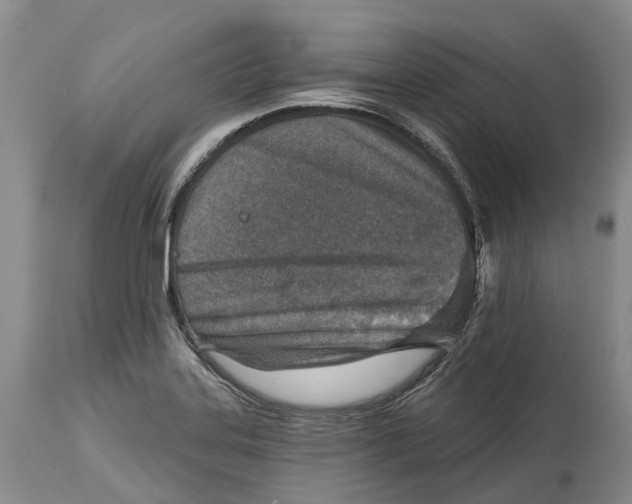 X0000115011323200911161551
