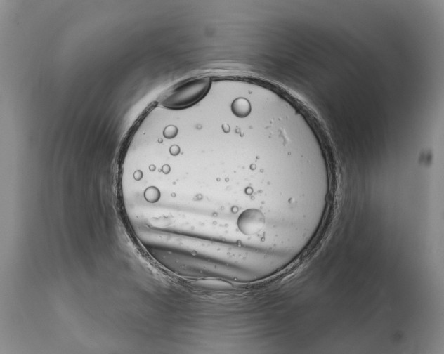 X0000115011325200911161551