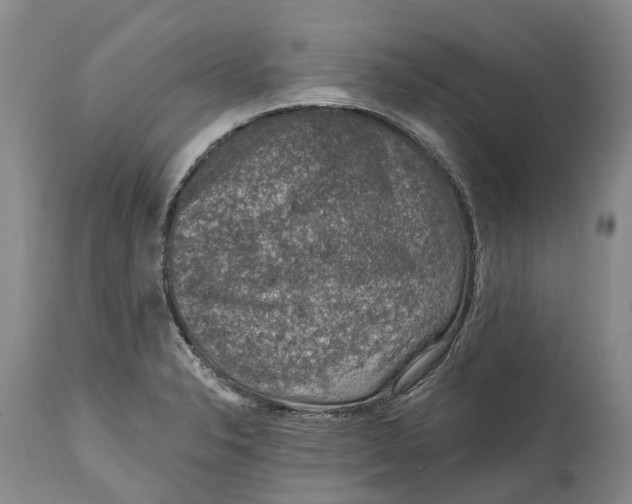 X0000115011326200911161551