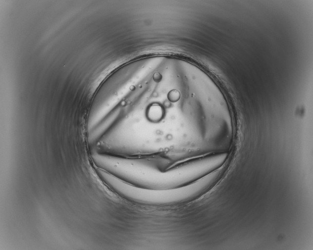 X0000115011329200911161551