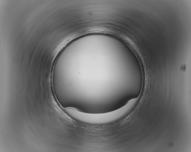X0000115011330200911161551