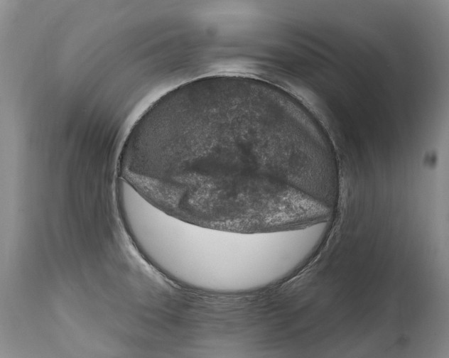 X0000115011331200911161551