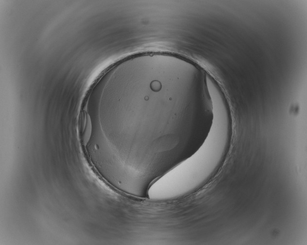 X0000115011334200911161551