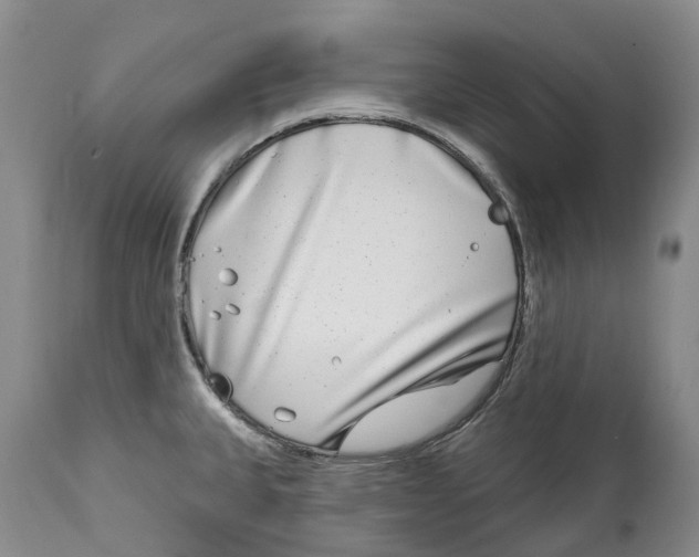 X0000115011335200911161551