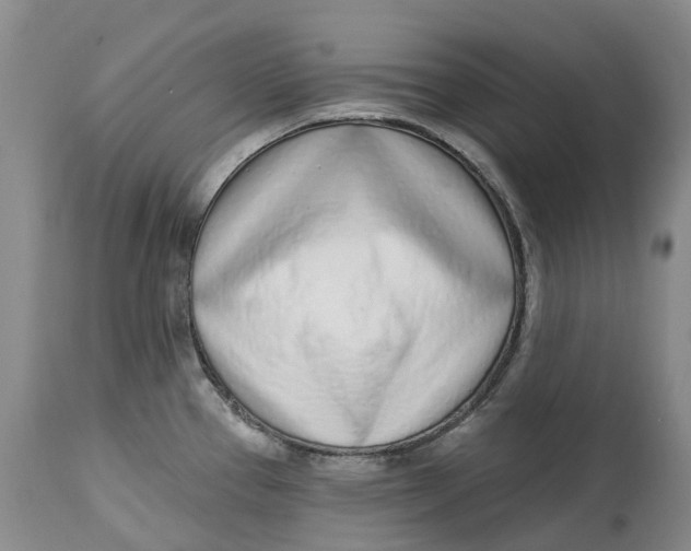 X0000115011337200911161551