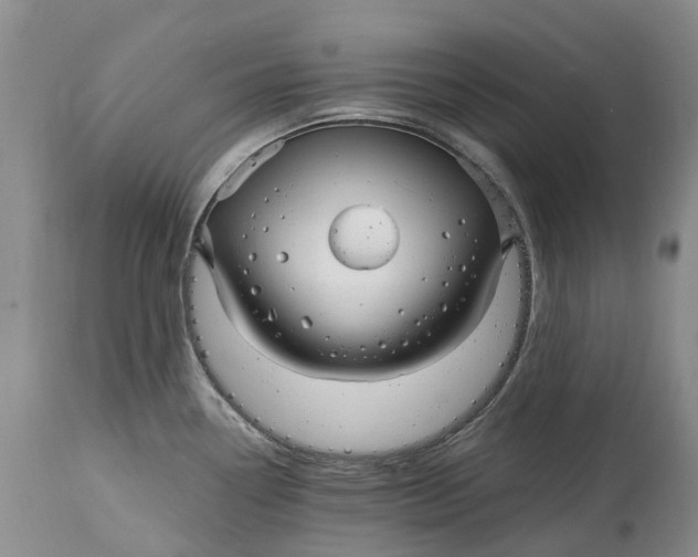 X0000115011338200911161551