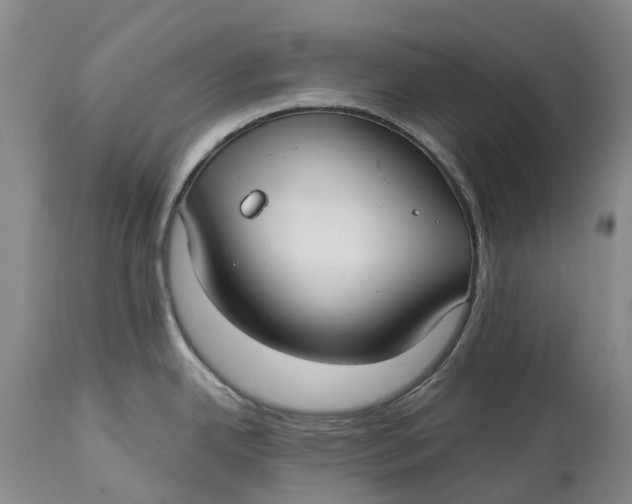 X0000115011342200911161551