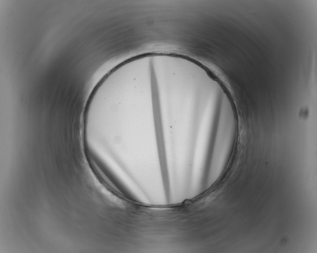 X0000115011343200911161551