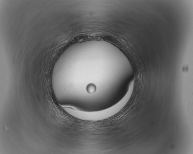 X0000115011345200911161550