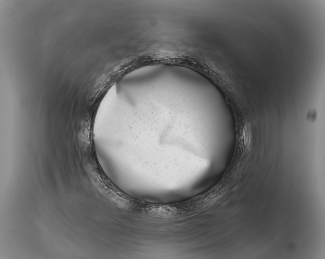 X0000115011348200911161550