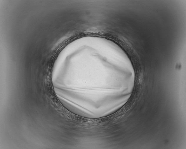 X0000115011350200911161550