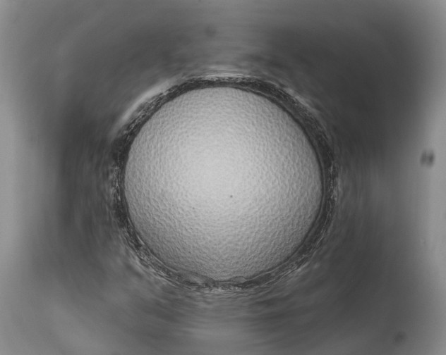 X0000115011351200911161550