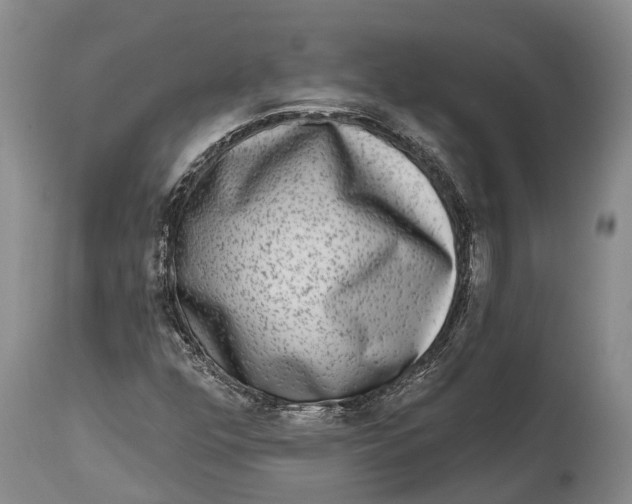 X0000115011352200911161550