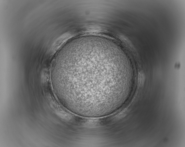 X0000115011353200911161550