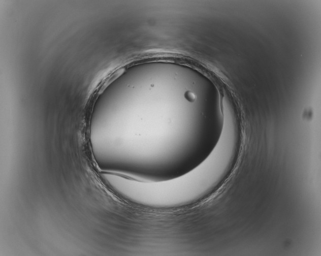 X0000115011357200911161550