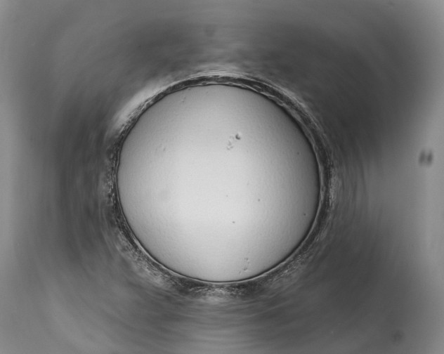X0000115011359200911161550