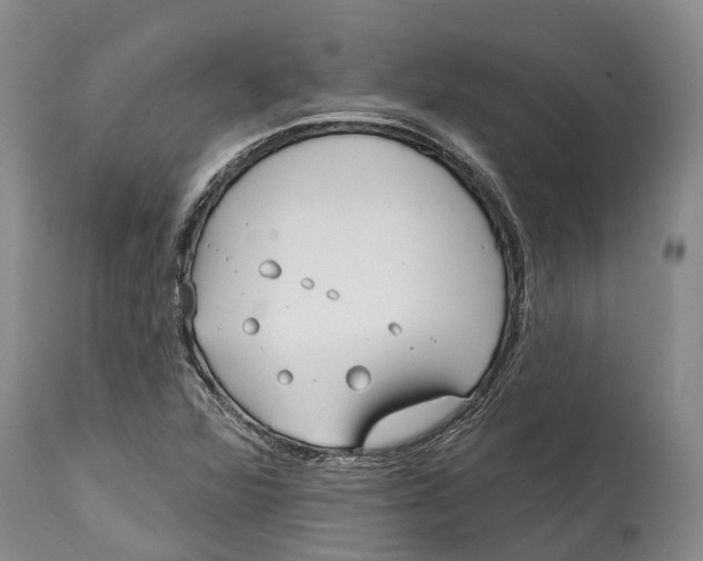 X0000115011360200911161550