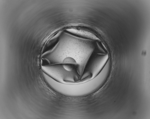 X0000115011361200911161550