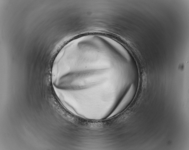 X0000115011363200911161550