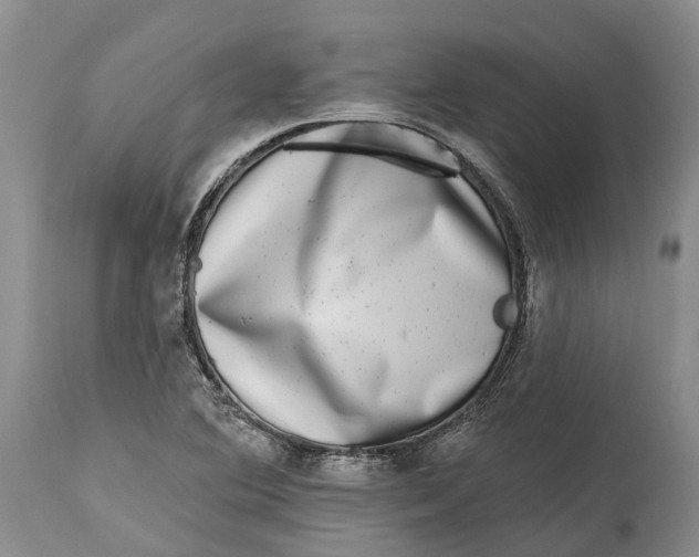 X0000115011364200911161550