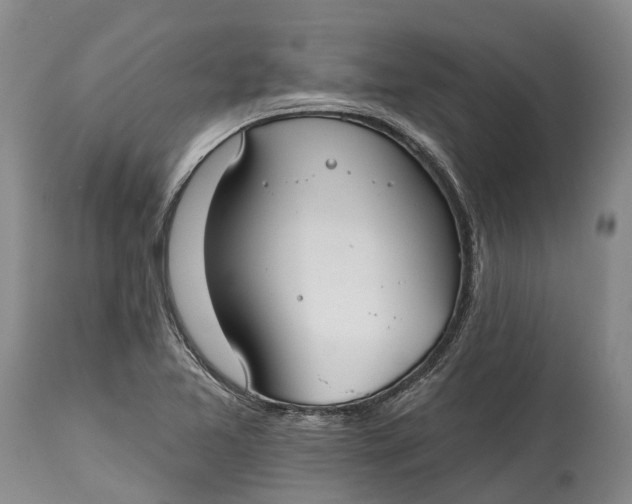 X0000115011365200911161550