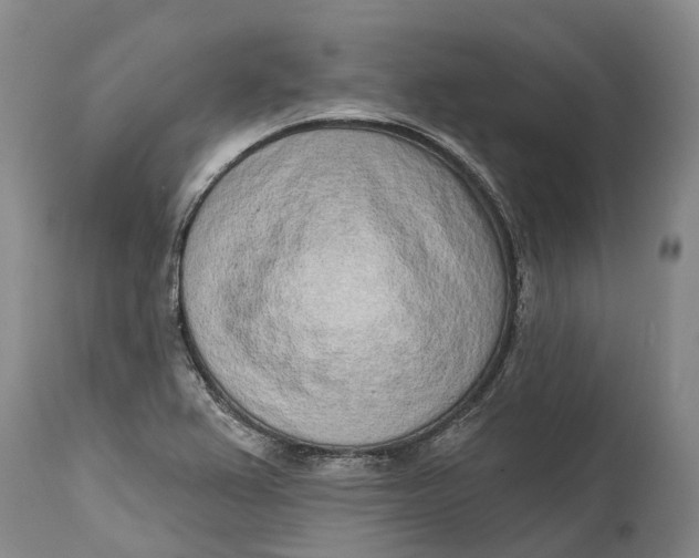 X0000115011367200911161550