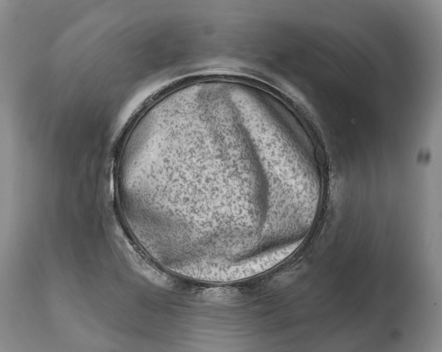 X0000115011368200911161550